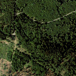 Satellite imagery of Lauterberg, DE