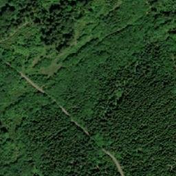 Satellite imagery of Šerlich SE [Deštné v Orlických horách], CZ