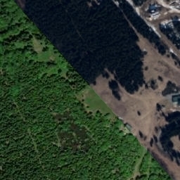 Satellite imagery of Šerlich SE [Deštné v Orlických horách], CZ