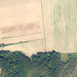 Satellite imagery of Rosenberg, DE