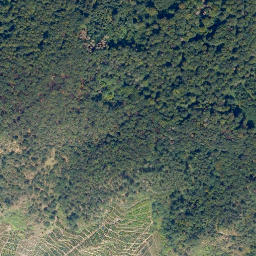 Satellite imagery of Raben-Berg, DE