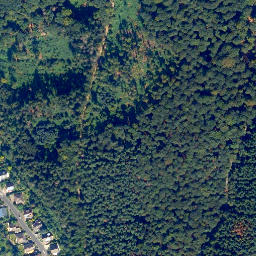 Satellite imagery of Lichter-Kopf, DE