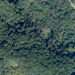 Satellite imagery of Hahnenkopf, DE