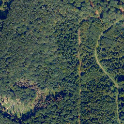 Satellite imagery of Eisenkauten, DE