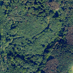 Satellite imagery of Eisenkauten, DE