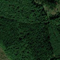 Satellite imagery of Kuhkopf, DE