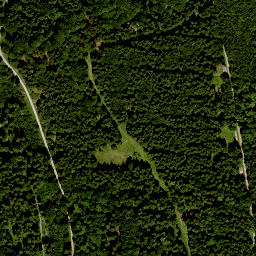 Satellite imagery of Totnansberg, DE