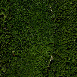 Satellite imagery of Totnansberg, DE