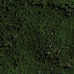 Satellite imagery of Pohlleitenwand, DE