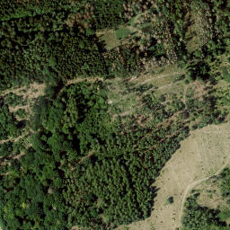 Satellite imagery of Lauterberg, DE