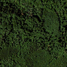 Satellite imagery of Hohe Schwenge, DE
