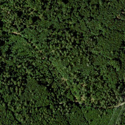 Satellite imagery of Hohe Schwenge, DE
