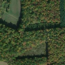 Satellite imagery of U Liščích děr [Smidary - Chotělice], CZ