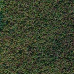 Satellite imagery of U Liščích děr [Smidary - Chotělice], CZ