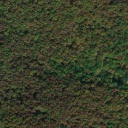 Satellite imagery of U Liščích děr [Smidary - Chotělice], CZ