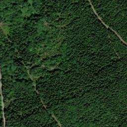 Satellite imagery of Šerlich SE [Deštné v Orlických horách], CZ