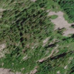 Satellite imagery of Mount Whieldon, CA