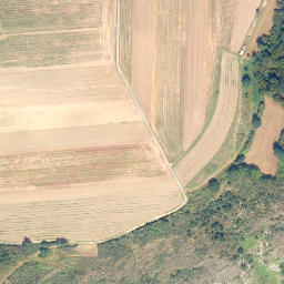 Satellite imagery of Rosenberg, DE