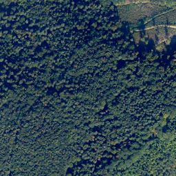 Satellite imagery of Layer Kopf, DE