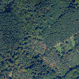 Satellite imagery of Lichter-Kopf, DE