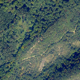 Satellite imagery of Lichter-Kopf, DE