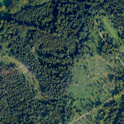 Satellite imagery of Hohenmalberg, DE