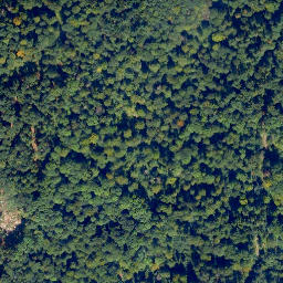 Satellite imagery of Hohenmalberg, DE