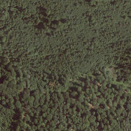 Satellite imagery of Das Hoherod, DE