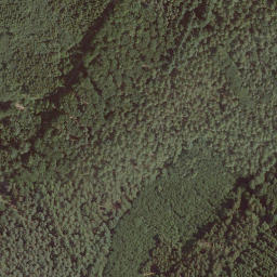 Satellite imagery of Das Hoherod, DE