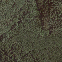 Satellite imagery of Steinröde, DE