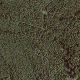 Satellite imagery of Steinröde, DE