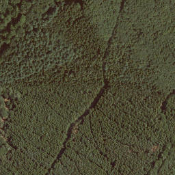 Satellite imagery of Homburg, DE