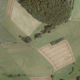 Satellite imagery of Pflucksberg, DE