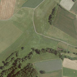 Satellite imagery of Pflucksberg, DE