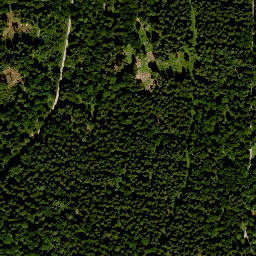 Satellite imagery of Totnansberg, DE