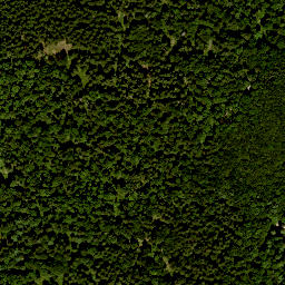 Satellite imagery of Totnansberg, DE