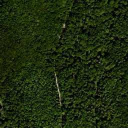 Satellite imagery of Totnansberg, DE