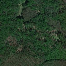 Satellite imagery of [Nový Ples] HG, CZ