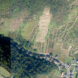 Satellite imagery of Rosenberg, DE