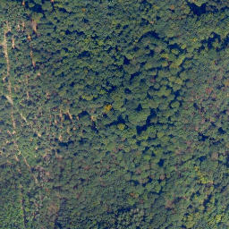 Satellite imagery of Mehrsberg, DE