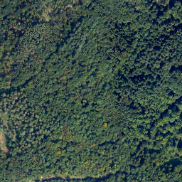 Satellite imagery of Hohenmalberg, DE