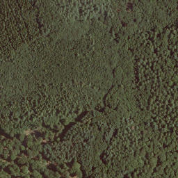 Satellite imagery of Geigenberg, DE