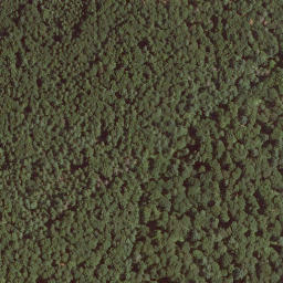 Satellite imagery of Geigenberg, DE