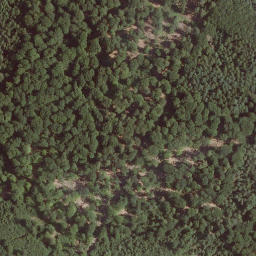 Satellite imagery of Das Hoherod, DE