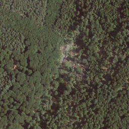 Satellite imagery of Das Hoherod, DE