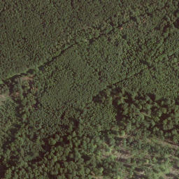 Satellite imagery of Steinröde, DE