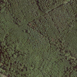 Satellite imagery of Steinröde, DE