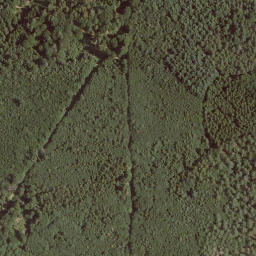 Satellite imagery of Homburg, DE