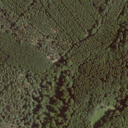 Satellite imagery of Homburg, DE