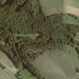 Satellite imagery of Pflucksberg, DE